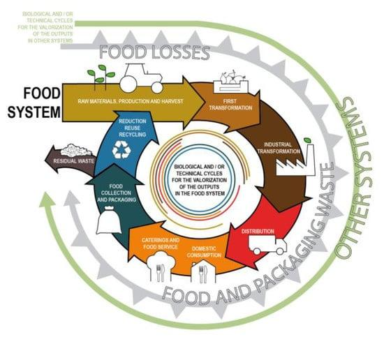 A Circular Economy for Food: The Role of Valorisation in Sustainable ...